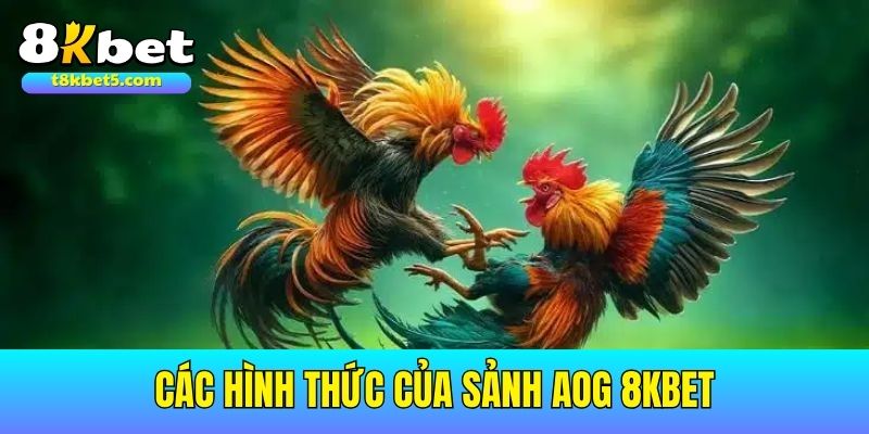Sảnh AOG Các hình thức mà sảnh Sảnh AOG 8kbet cung cấp