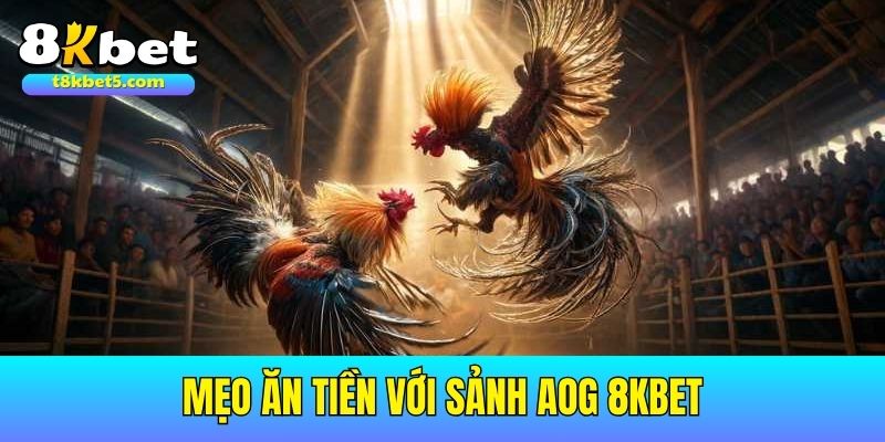 Sảnh AOG Mẹo ăn tiền với Sảnh AOG 8kbet