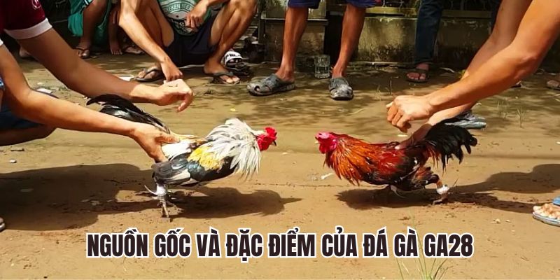 Sảnh GA28 Giới thiệu Sảnh GA28
