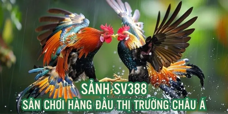 Sảnh SV388 Những thông tin cơ bản về Sảnh SV388