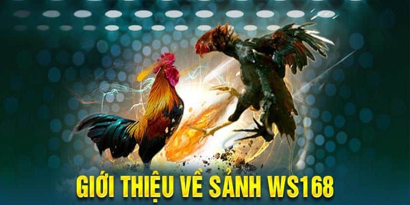 Sảnh WS168 Tổng quan về sảnh WS168