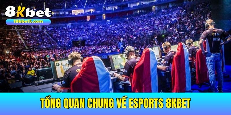 Esports 8kbet Tổng quan chung về sảnh Esports 8kbet đình đám